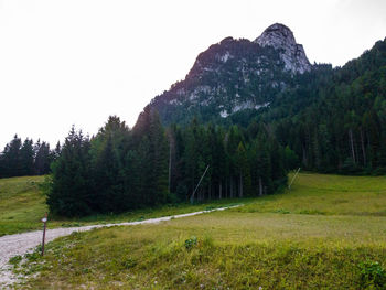 Scenic view of field against clear sky