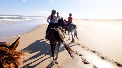 Rear view of people riding horse on sand at beach