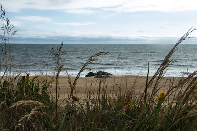 Scenic view of sea against sky