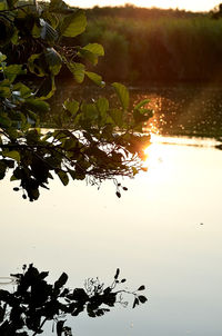 Scenic view of lake against sky during sunset