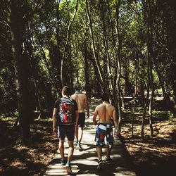 Rear view of men walking on road in forest