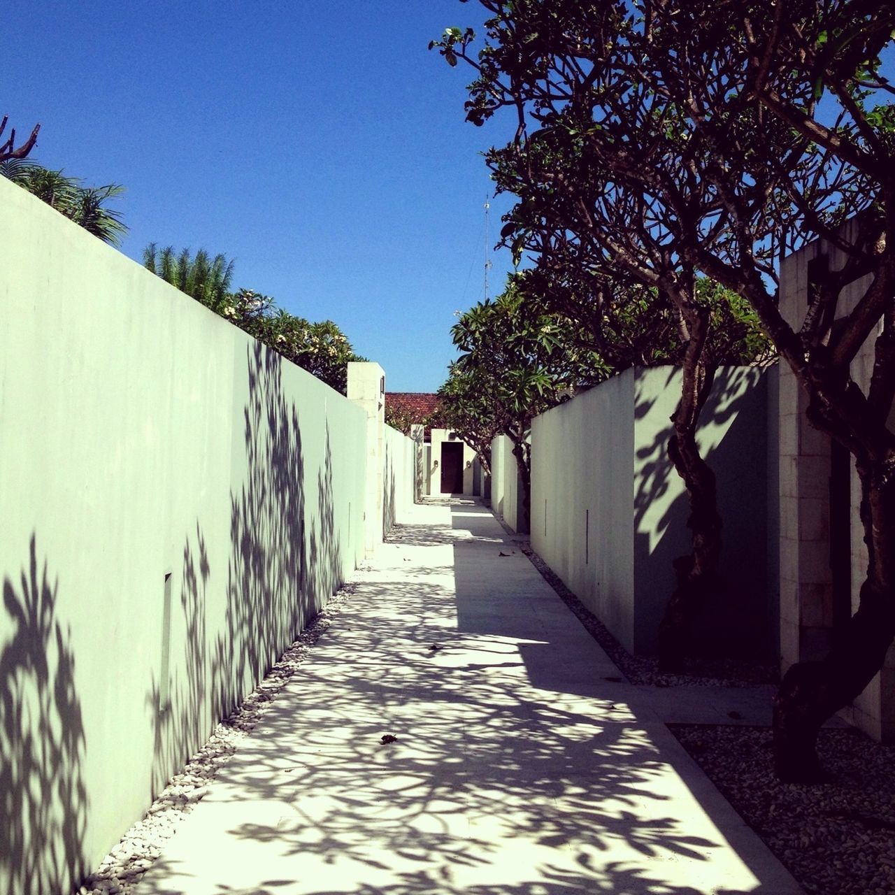 architecture, building exterior, built structure, the way forward, clear sky, alley, narrow, diminishing perspective, residential structure, house, residential building, blue, street, sunlight, shadow, pathway, building, walkway, vanishing point, cobblestone