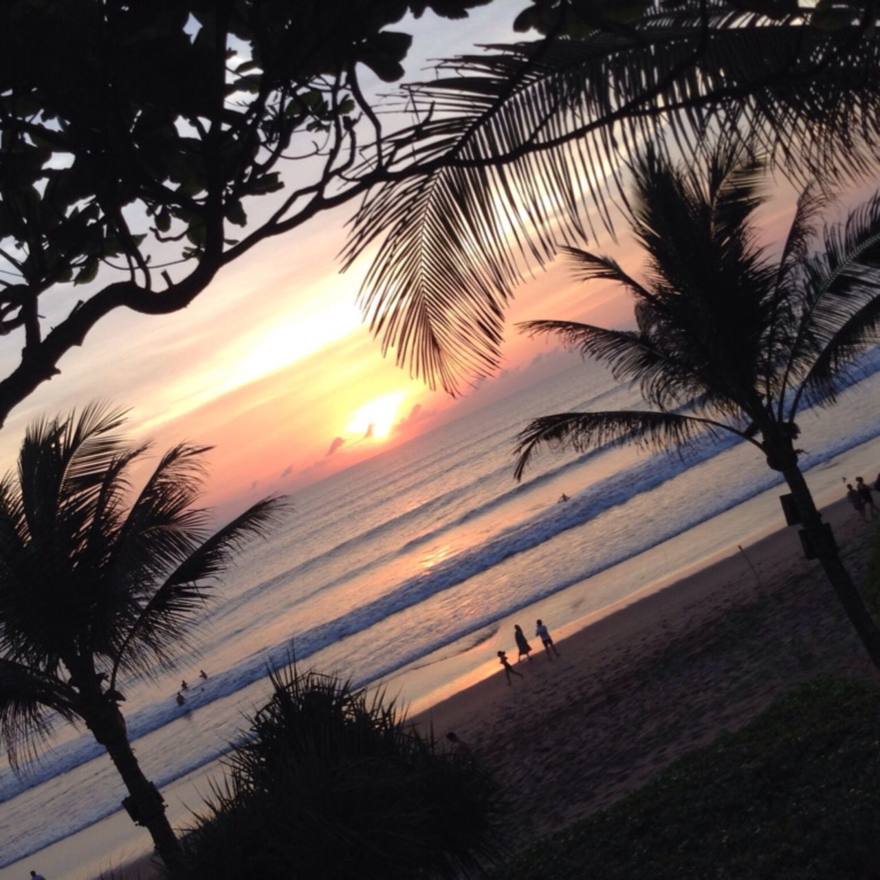 SILHOUETTE PALM TREES DURING SUNSET