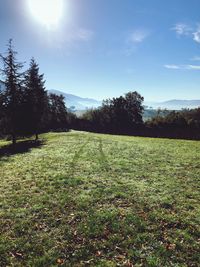 Scenic view of field against sky