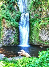 Stream flowing through rocks in forest