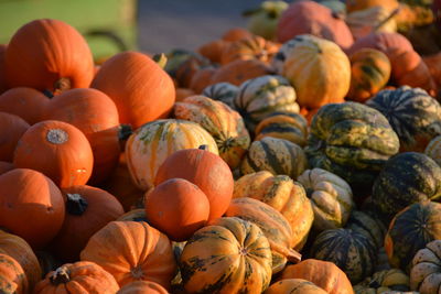 High angle view of pumpkins for sale