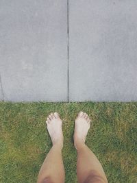 Low section of woman standing on grass