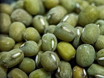 Macro shot of mung beans