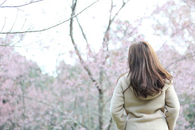 Rear view of young woman standing against cherry tree