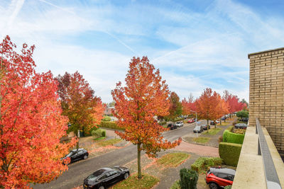 High angle view of trees against sky