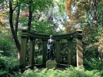 Statue of trees in forest