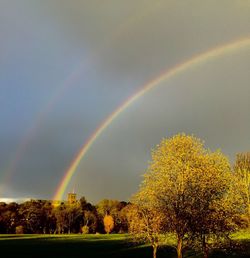 Rainbow over trees against sky