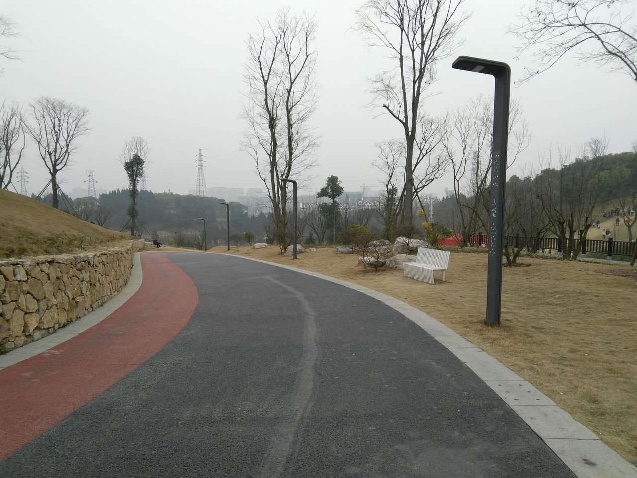 road, tree, transportation, street, the way forward, sky, asphalt, outdoors, no people, day, traffic circle, nature