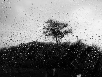 Close-up of water drops on glass