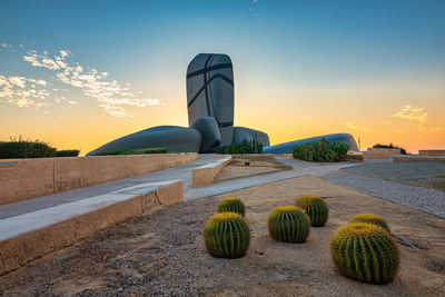 Cactus plant against sky during sunset