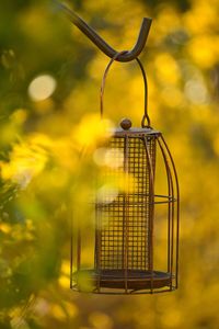 Close-up of bird feeder