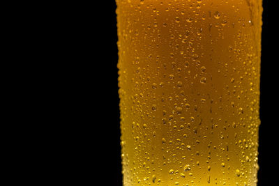 Close-up of beer glass against black background