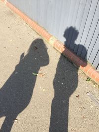Shadow of people on road