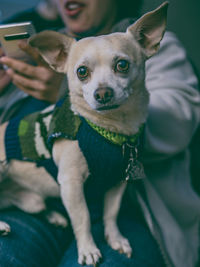 Portrait of man holding small dog