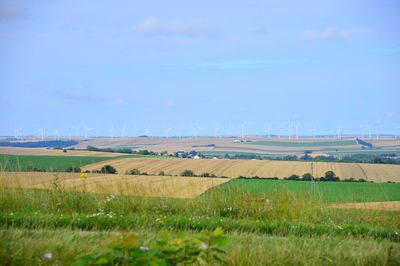 Scenic view of agricultural field against sky