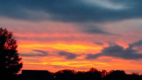 Silhouette trees against orange sky
