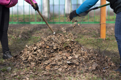 Man working at farm