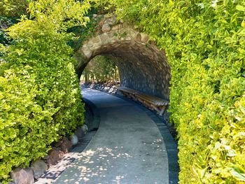 Footpath in park