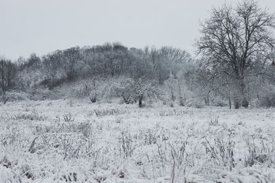 Frozen trees on field against sky during winter