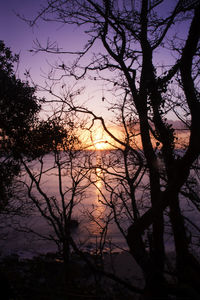 Silhouette trees by lake against sky during sunset