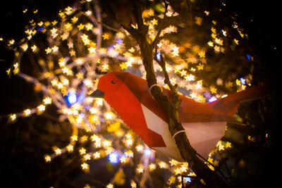 Low angle view of christmas tree at night