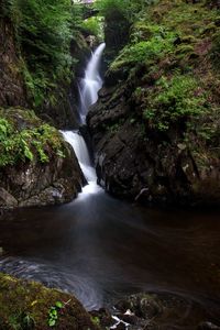 Scenic view of waterfall in forest