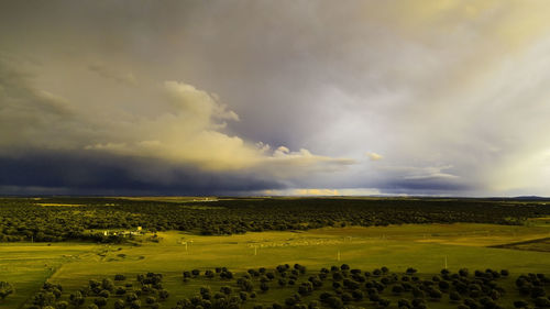 Scenic view of agricultural field against sky