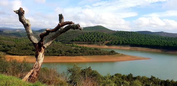 Scenic view of landscape against sky