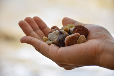 Close-up of man holding food