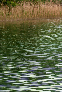 Full frame shot of rippled water