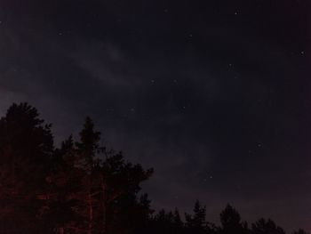 Low angle view of silhouette trees against sky at night