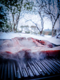 Close-up of snow on barbecue grill