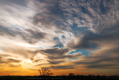 Low angle view of silhouette trees against dramatic sky