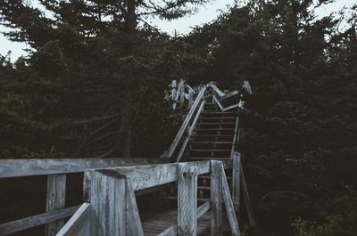 Close-up of steps against trees in forest