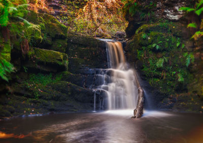 View of waterfall in forest