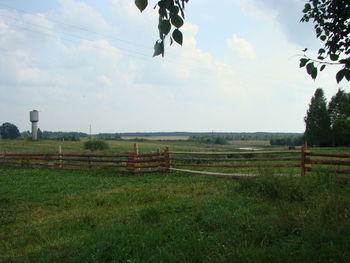 Scenic view of agricultural field against sky