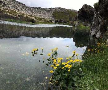 Scenic view of lake against sky