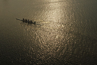 High angle view of people rowing in sea during sunny day