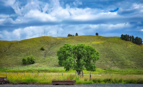 Scenic view of landscape against sky