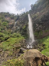 Scenic view of waterfall in forest