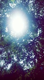 Low angle view of trees against sky