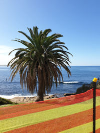 Palm trees on beach against clear sky