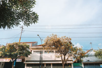 Low angle view of palm trees and building against sky