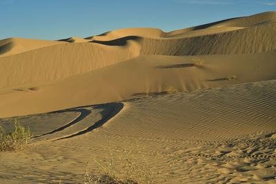 Sand dunes natural wind-blown sand and off road vehicle tire track  imperial sand dunes , california