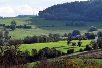 Scenic view of agricultural field against sky